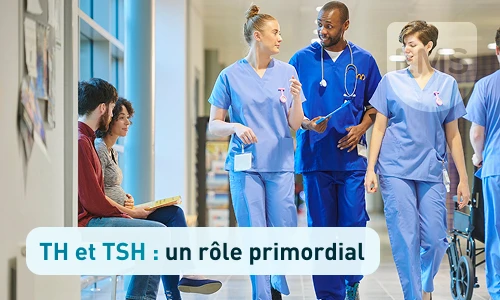 TH et TSH : un rôle primordial